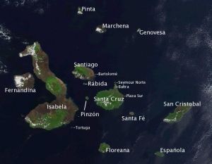 Satellite Image of the Galápagos Islands